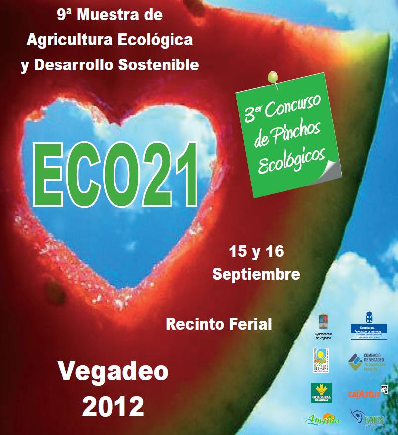 ECO 21 VEGADEO ASTURIAS